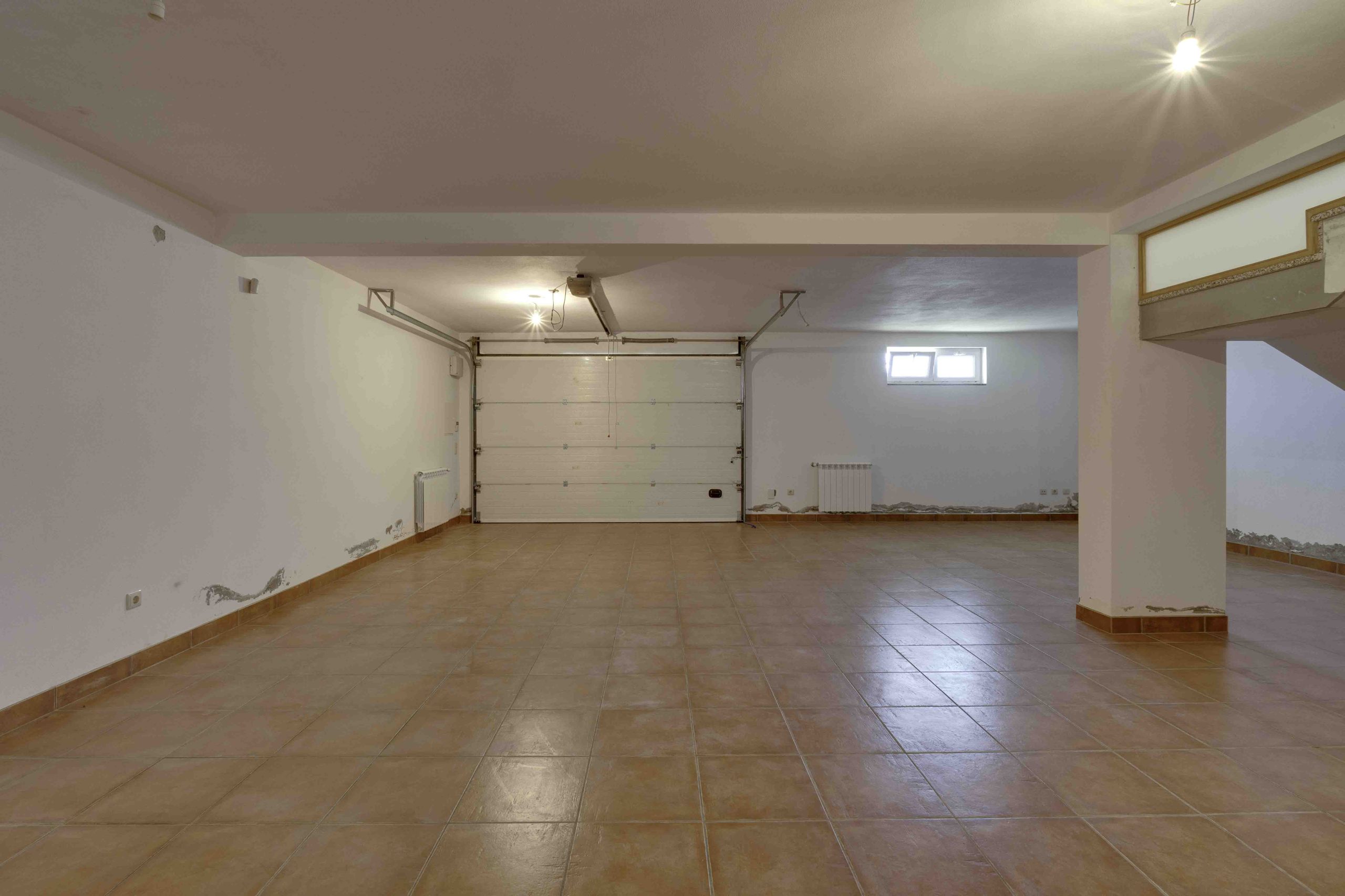 20240120-DSC00768HDR