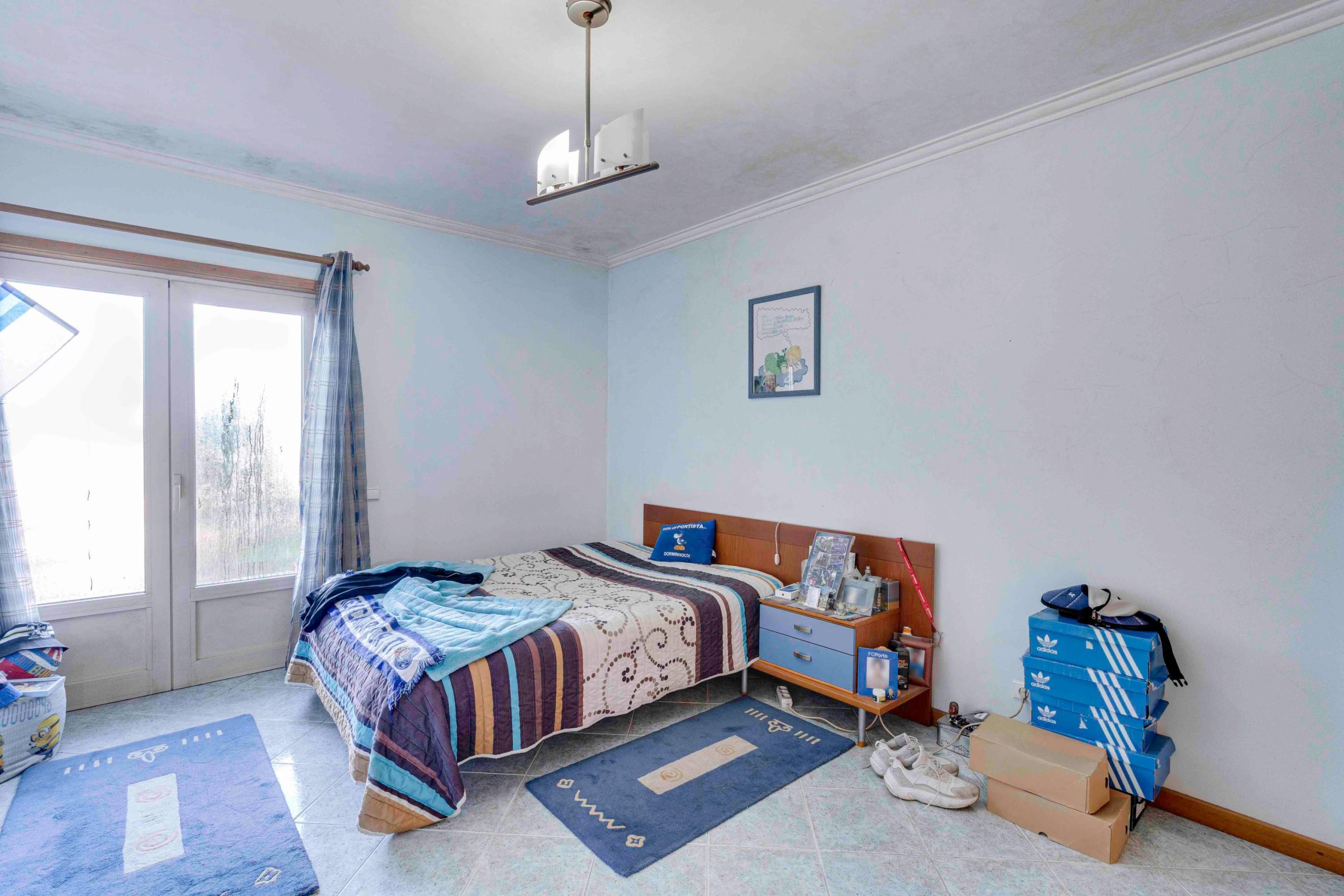 20240121-DSC00791HDR