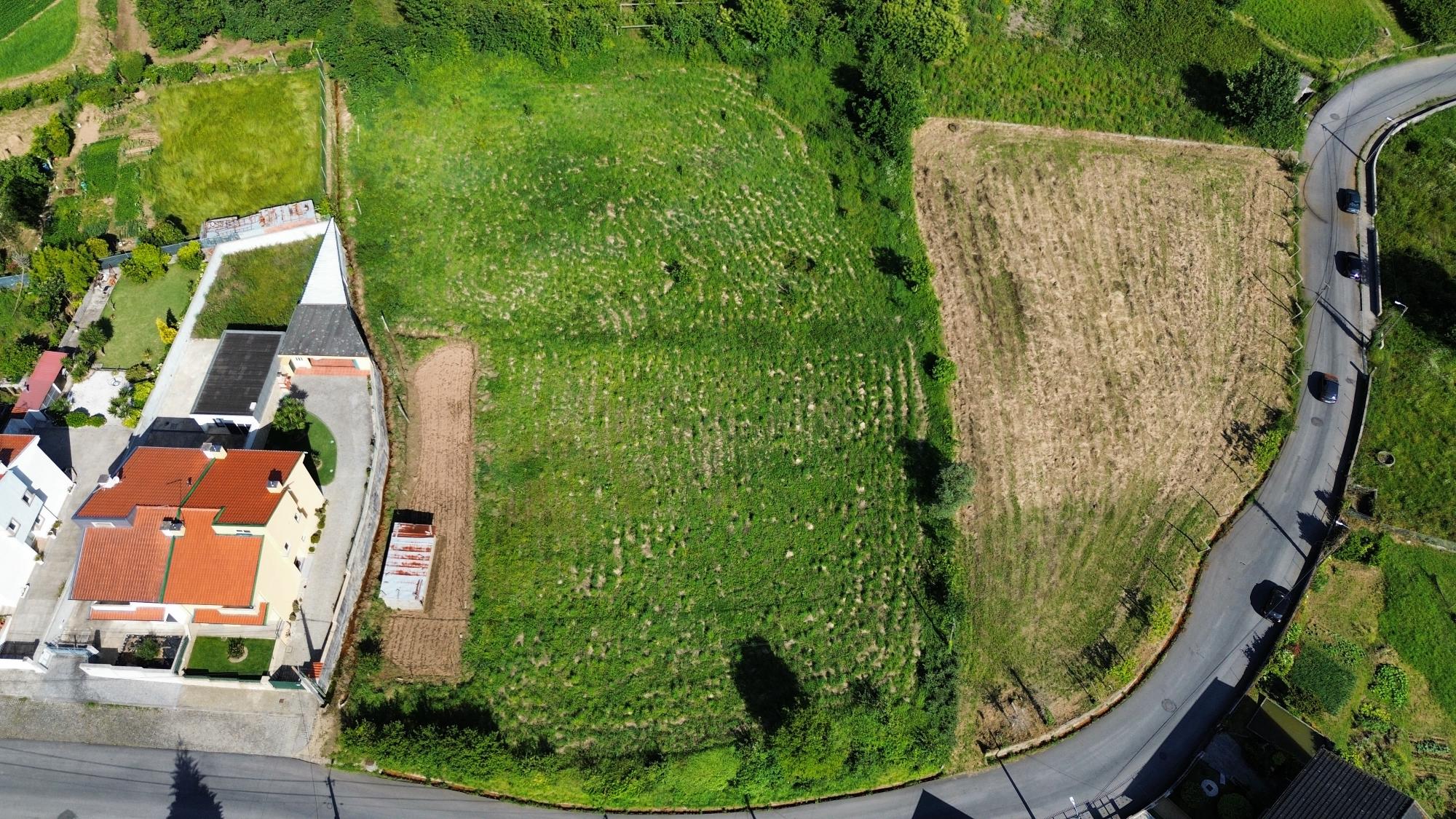 dji_fly_20240522_172506_11_1716395117386_photo_optimized