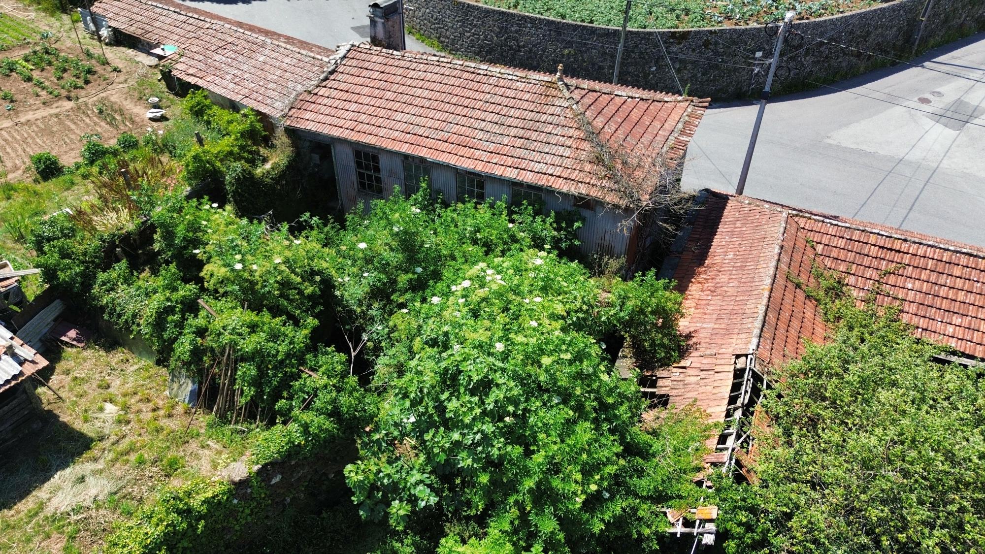 dji_fly_20240603_114818_76_1717411736893_photo_optimized